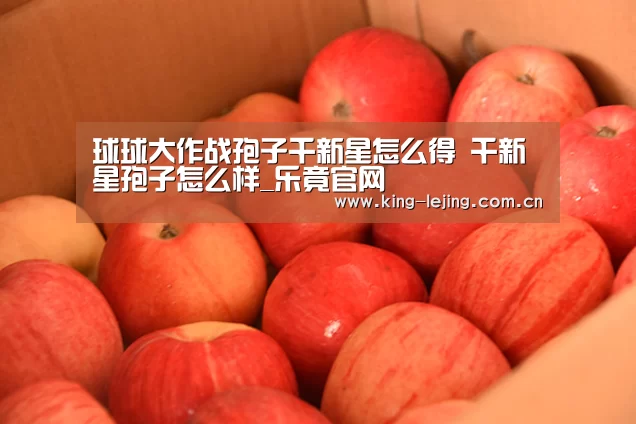 乐竟官网