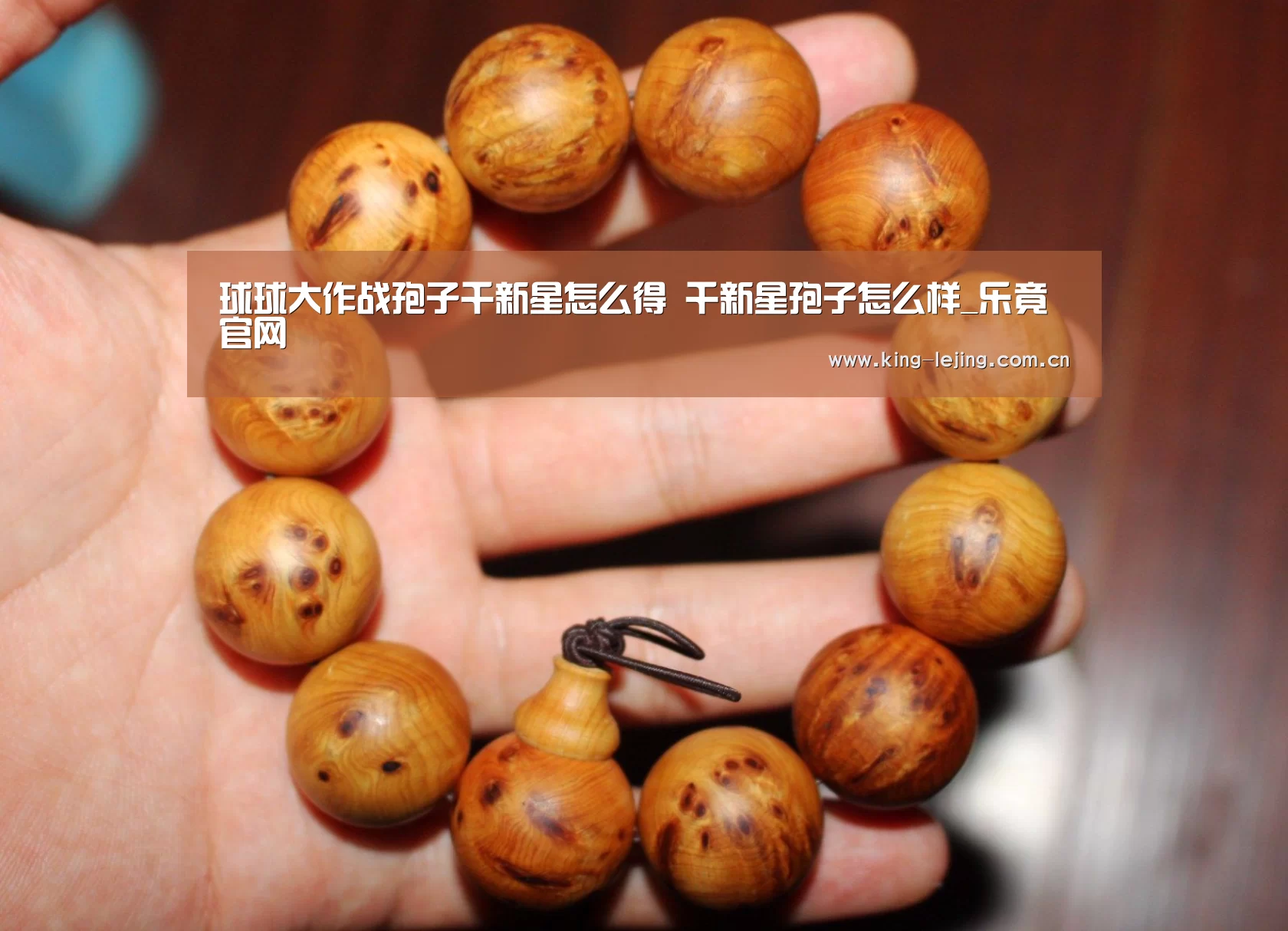 乐竟平台