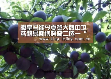 乐竟体育